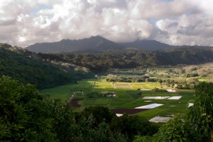 Hanalei Valley lookout