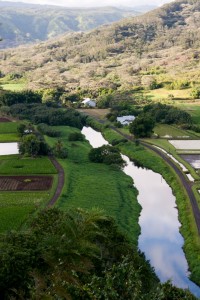 Hanalei Valley lookout (we kayaked this river)