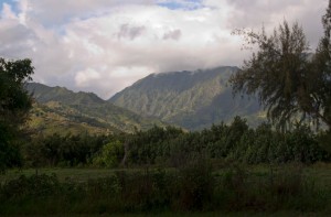 Near Hanalei Bay