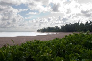 Haena Beach (I think)