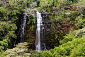 Opaekaa (Rolling Shrimp) Falls