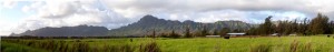 The road to Lihue