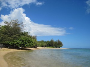 Anini Beach (Marion)