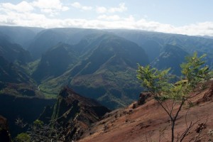 Waimea Canyon