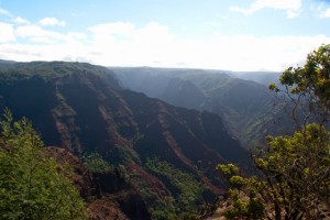 Waimea Canyon