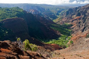 Waimea Canyon