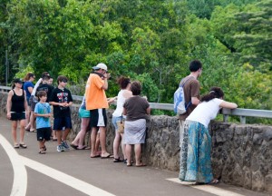 At the Wailua Falls overlook