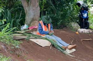 Making palm frond baskets and hats