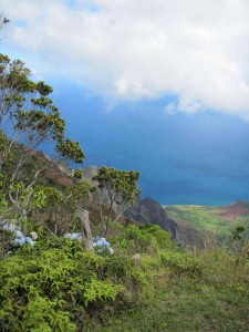 Na Pali overlook (Marion)