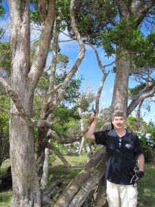 Bart at the Na Pali overlook (Marion)