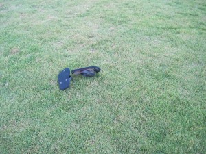 Wayward flip flops (Marion)