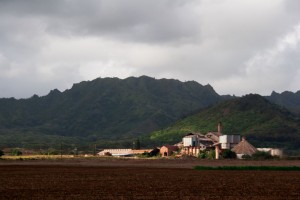 Old sugar mill near Poipu