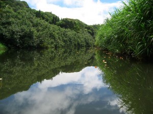 The river we kayaked