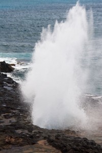 Spouting Horn