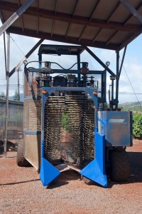 Coffee harvester