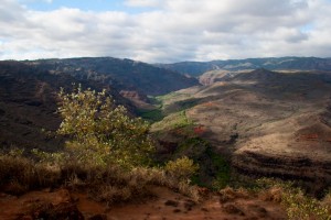 Waimea Canyon