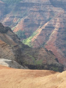 Waimea Canyon (Marion)