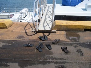 Flock of wayward flip flops (Marion)