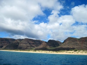 Polihale beach (Marion)