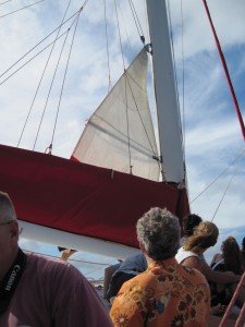 Putting up the sails (Marion)