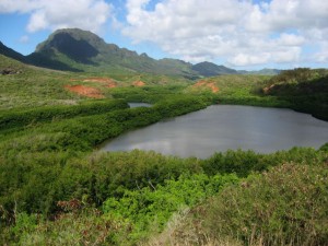 Menehune fish pond