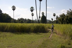 Biking into the rice paddy