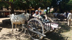 Marion and Bart on the oxcart