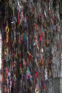 Remembrance bracelets on the killing tree