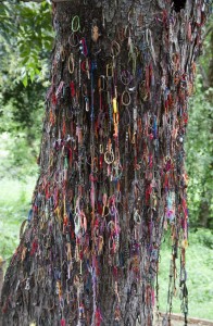 Remembrance bracelets on the killing tree