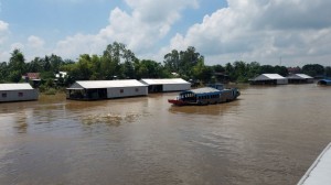 Mekong river