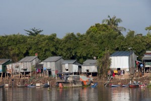 Life along the shore