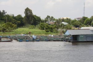 Fish farm