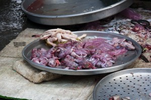 Live skinned frogs (eww)