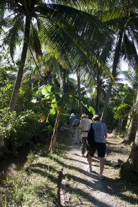 Ben Tre coconut plantation