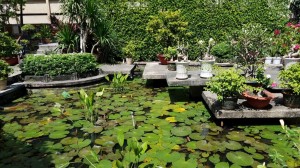 Pond at the National Museum