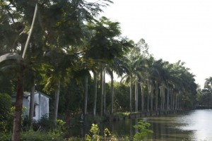 On the road to Ha Long Bay