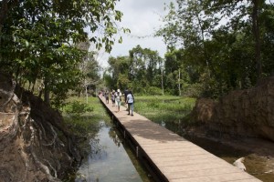 The walkway over the lake