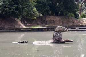 Neak Pean Temple