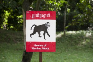 Beware of Monkeys