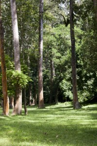 The walk from the entrance to the temple