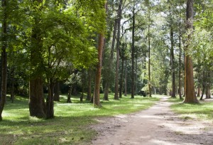 The walk from the entrance to the temple