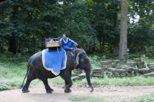 A man on an elephant