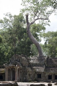 Ta Prohm Temple