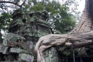 Ta Prohm Temple