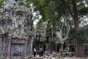 Ta Prohm Temple