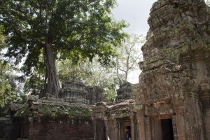 Ta Prohm Temple