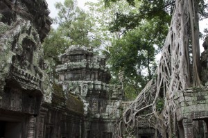 Ta Prohm Temple