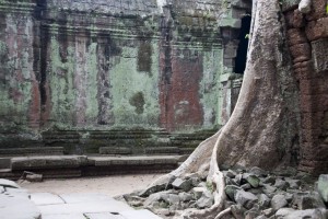 Ta Prohm Temple