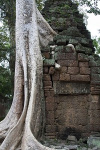 Ta Prohm Temple