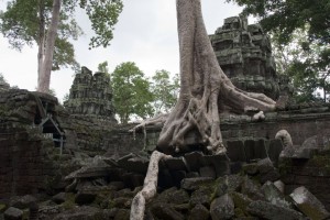 Ta Prohm Temple